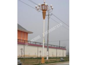 撫順 8m 中華燈